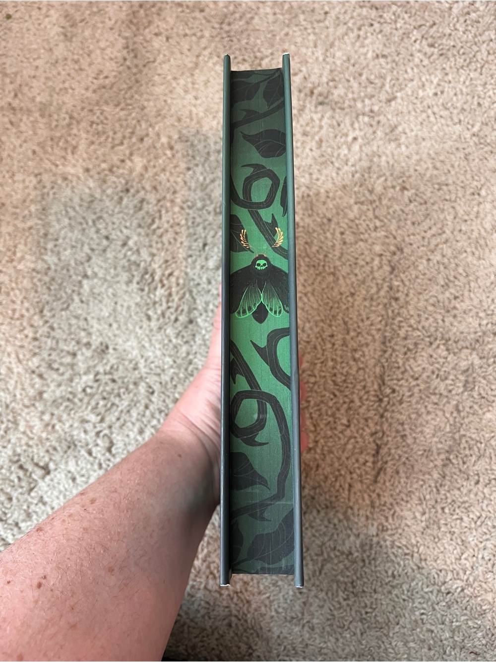 Seven Deadly Thorns fairyloot special edition book by Amber Hamilton - Picture 3 of 7